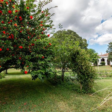 All'Ombra Del Bagolaro Taglio Di Po ภายนอก รูปภาพ