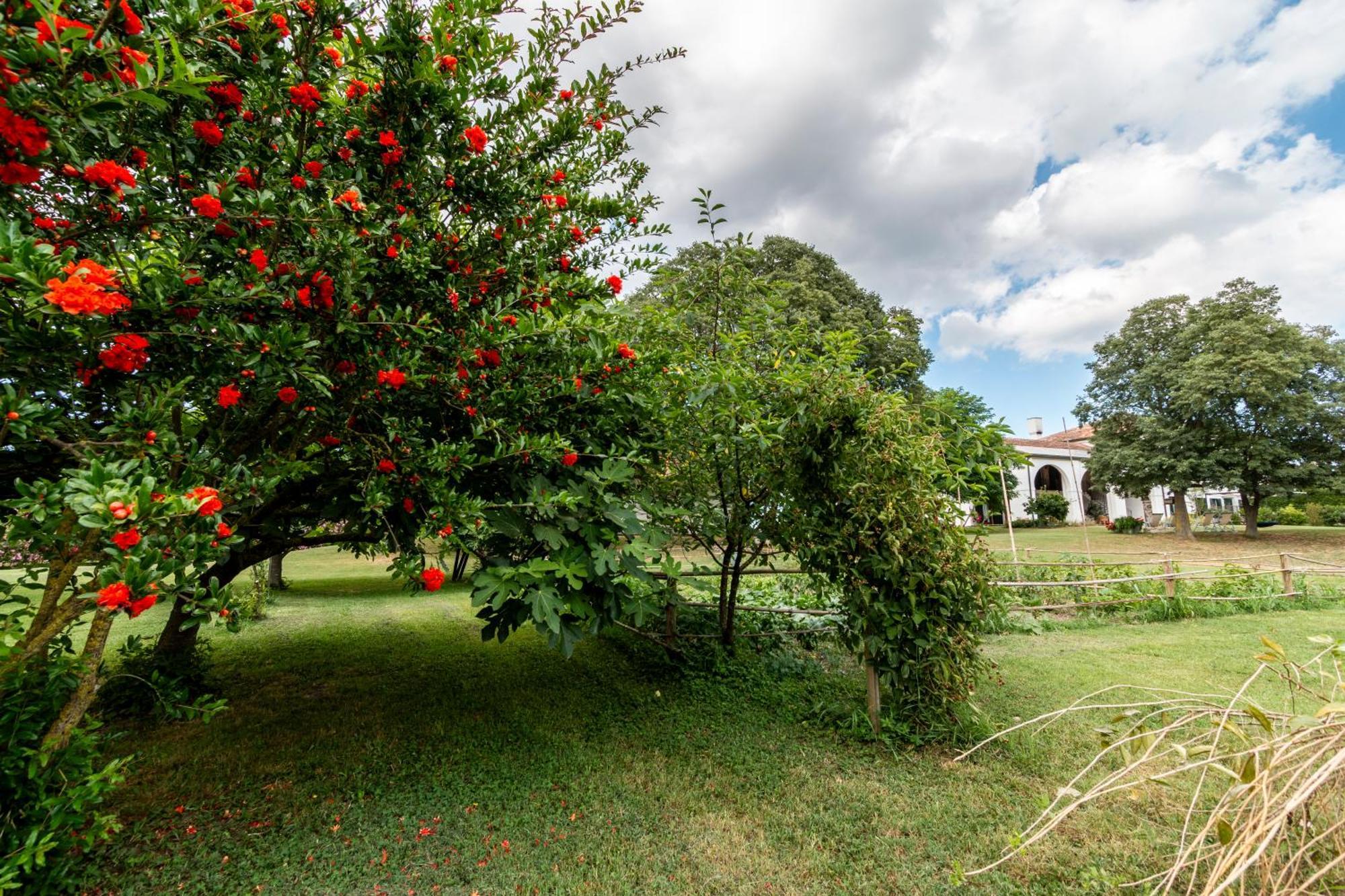 All'Ombra Del Bagolaro Taglio Di Po ภายนอก รูปภาพ